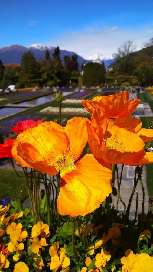 Il Portico Apartman Baveno Kültér fotó